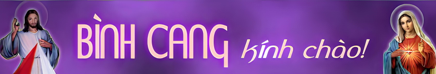 banner binhcang